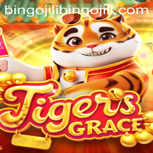 TigersGrace: Exploring the Intricacies of the Bingojili Phenomenon